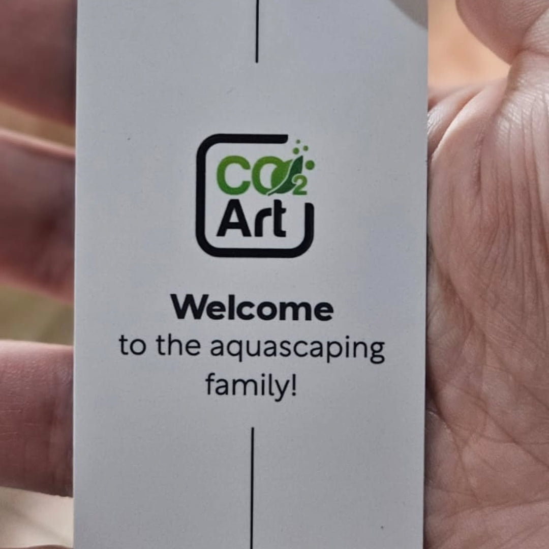 Příspěvek na Instagram od @vale.aquascaper
