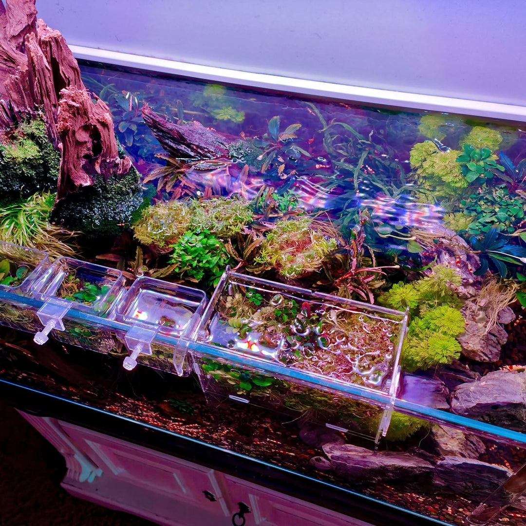 Příspěvek na Instagram od @aquascapebarendrecht
